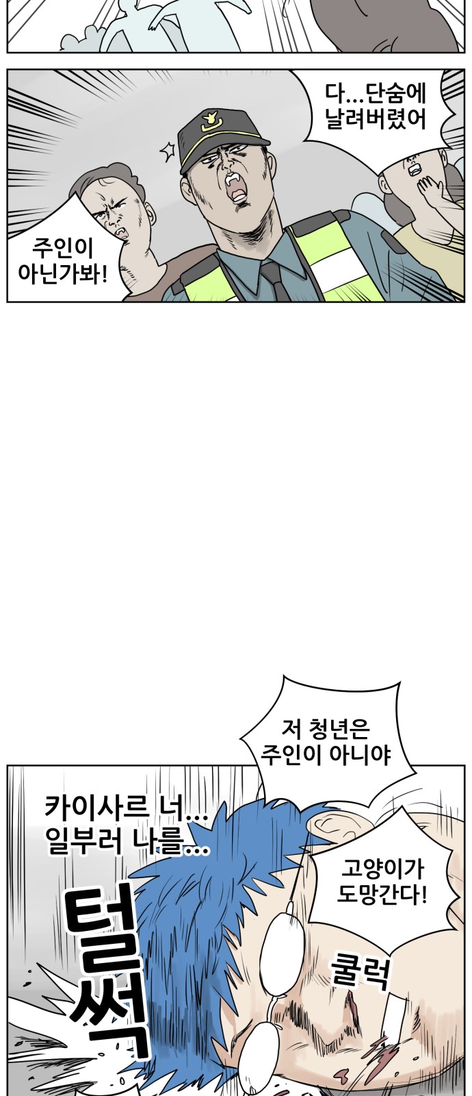 71 페이지
