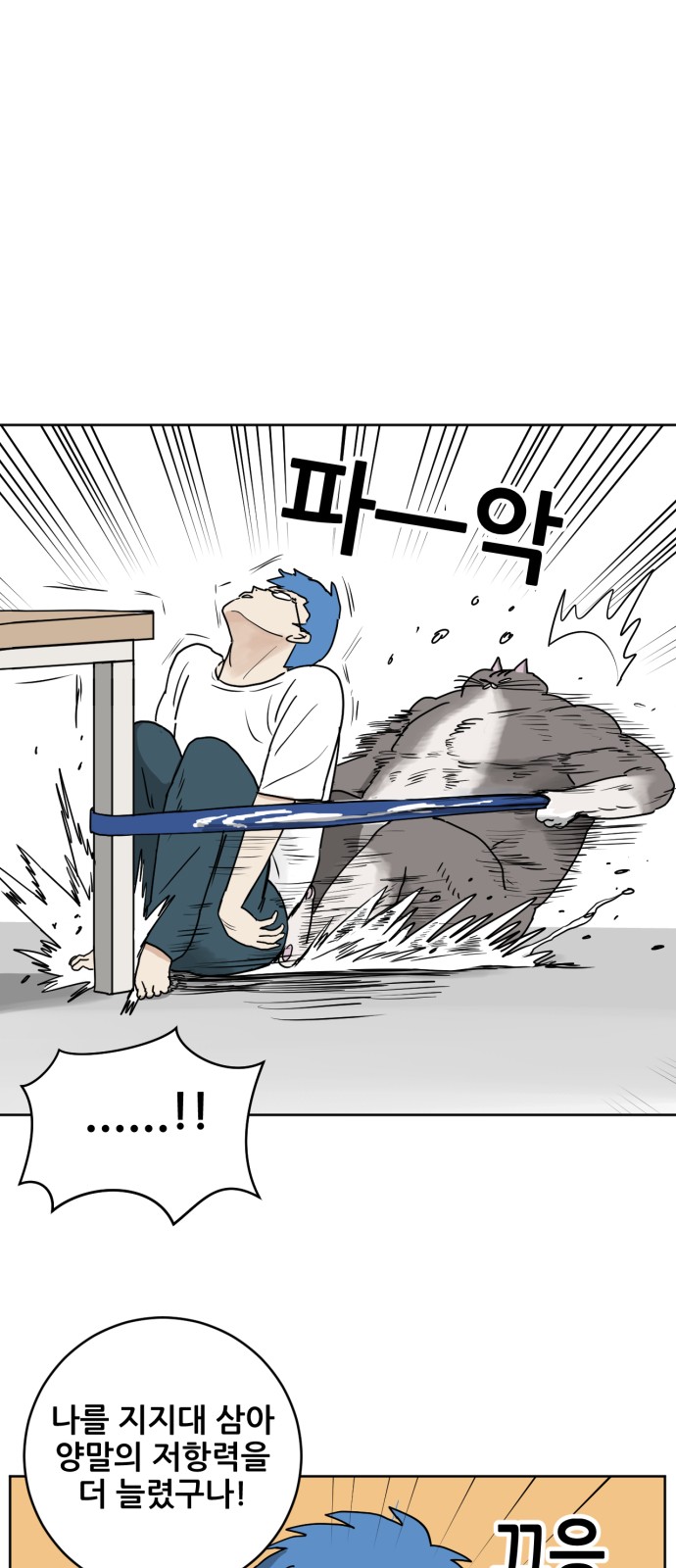 14 페이지