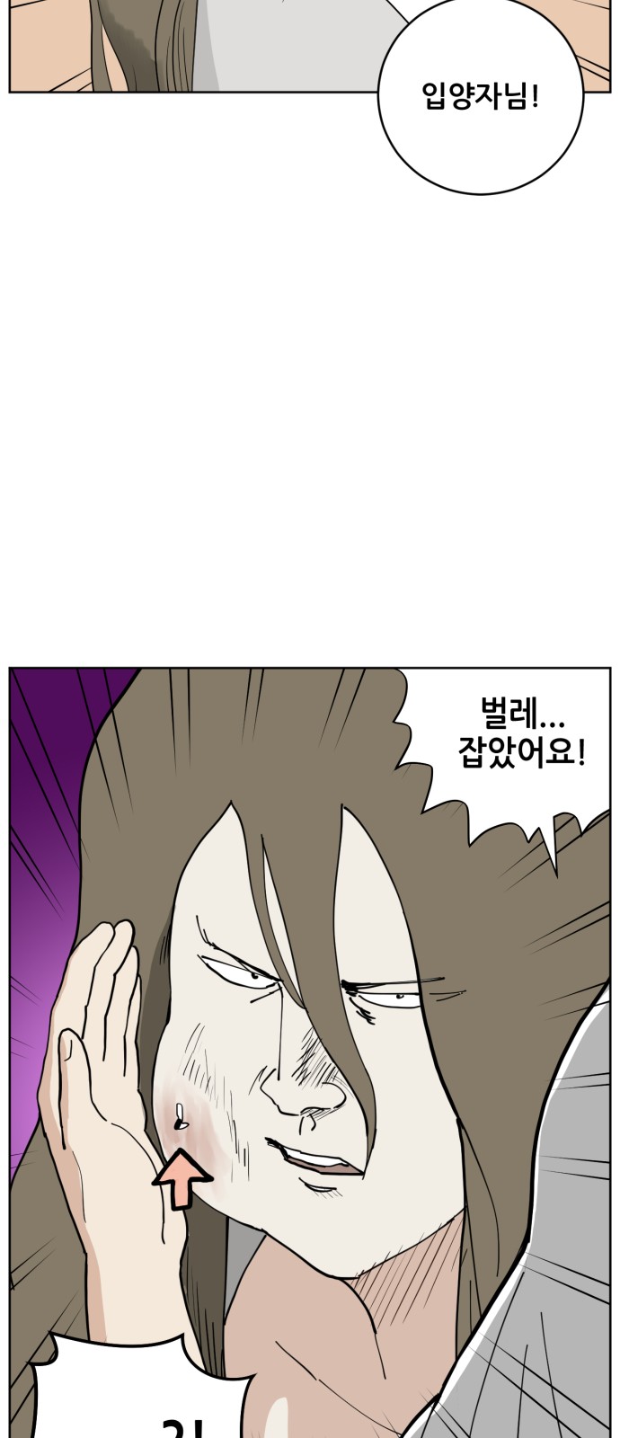 44 페이지