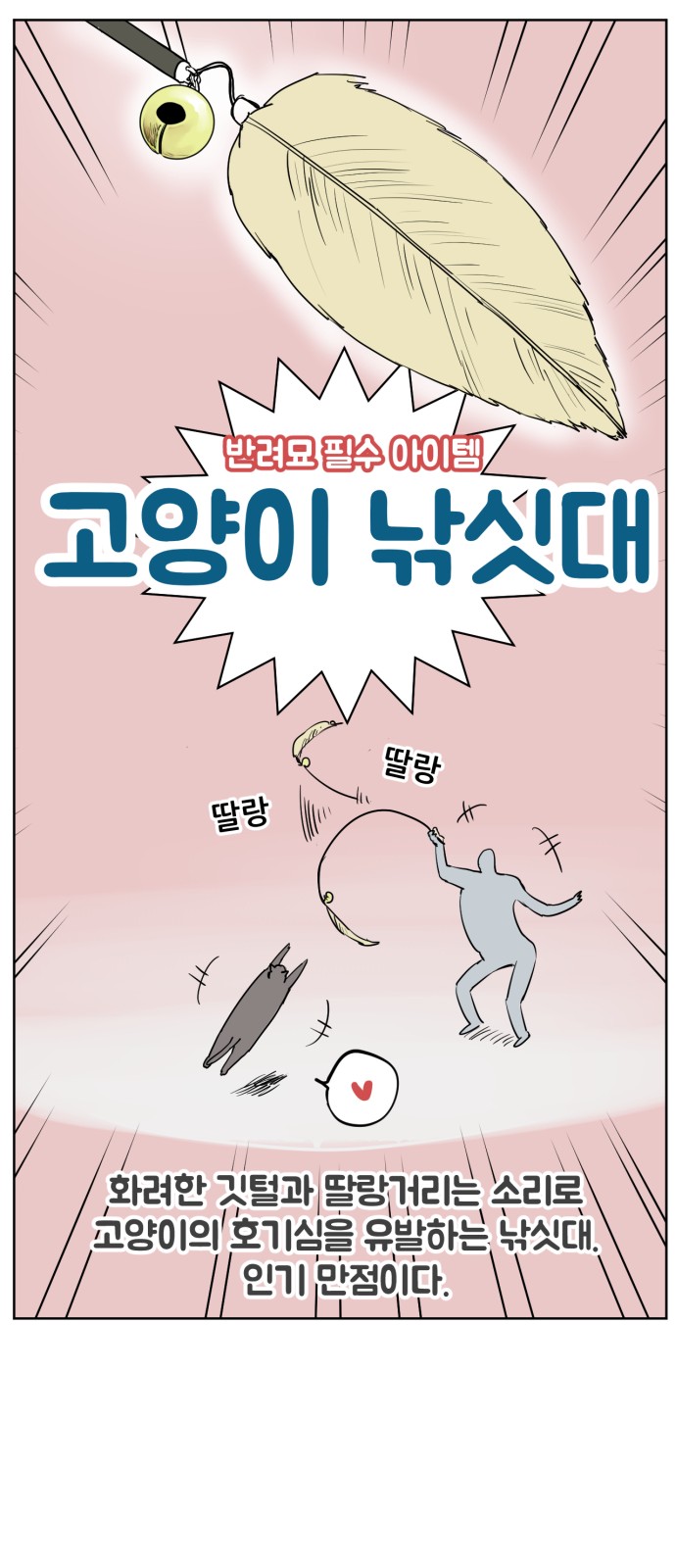 50 페이지