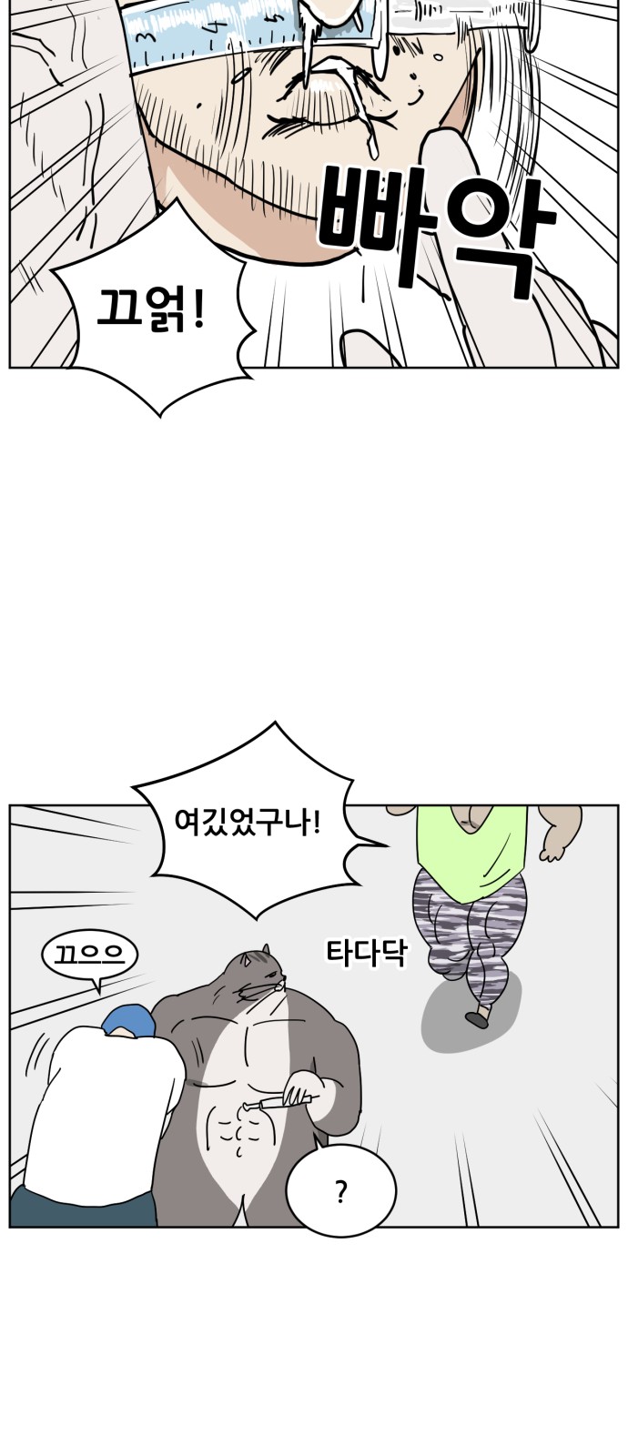 45 페이지