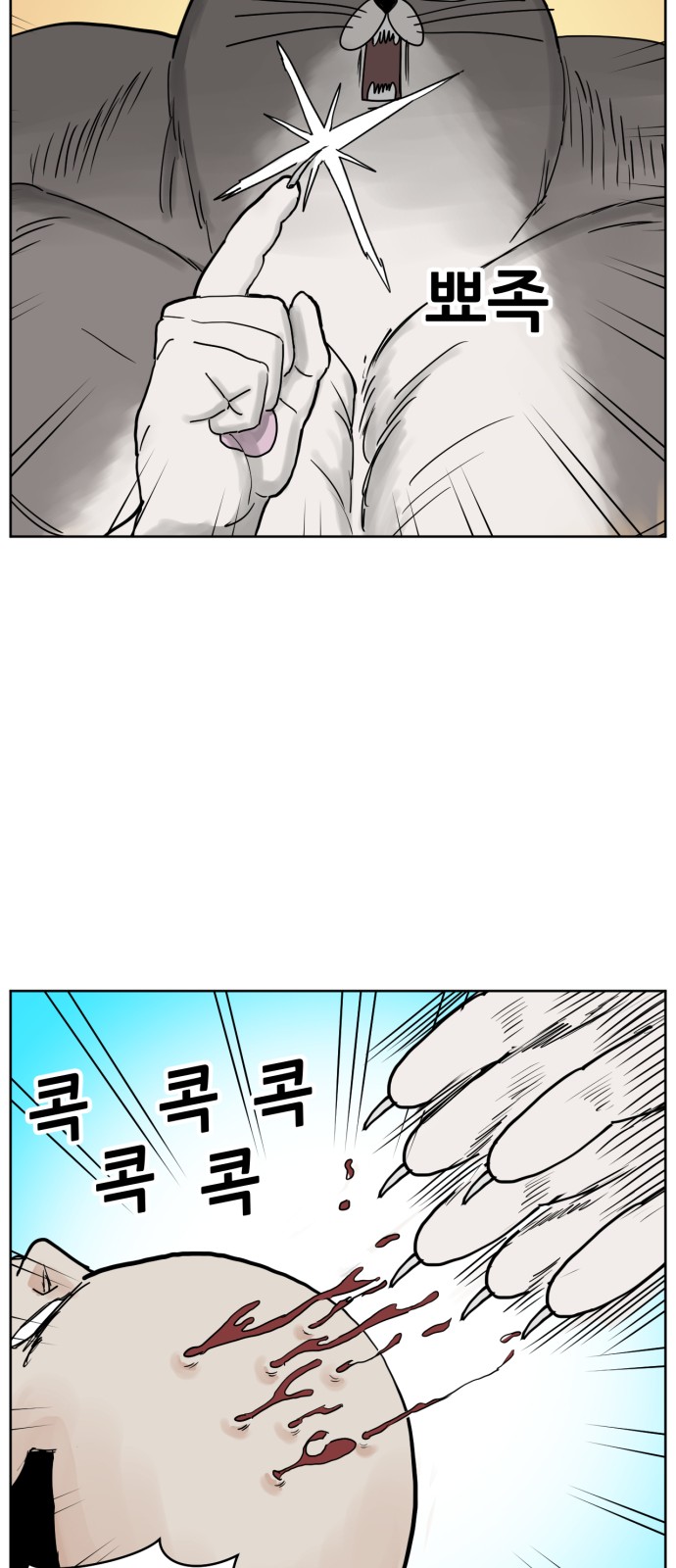 43 페이지
