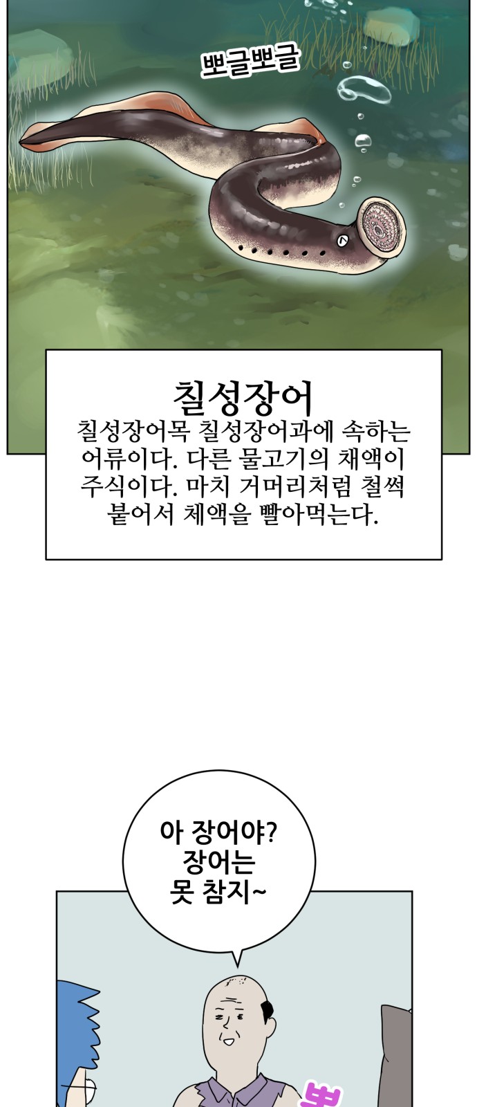 53 페이지
