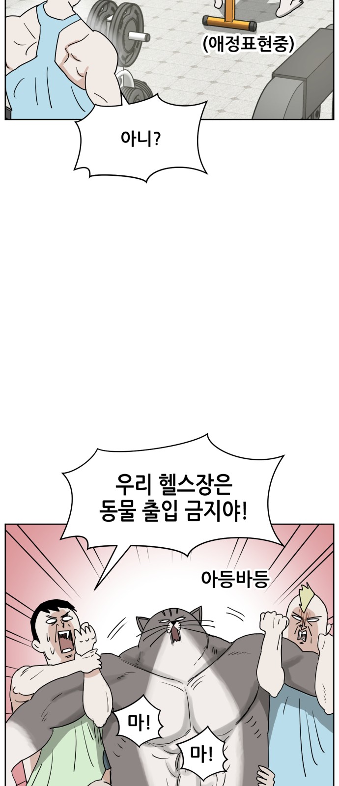 50 페이지