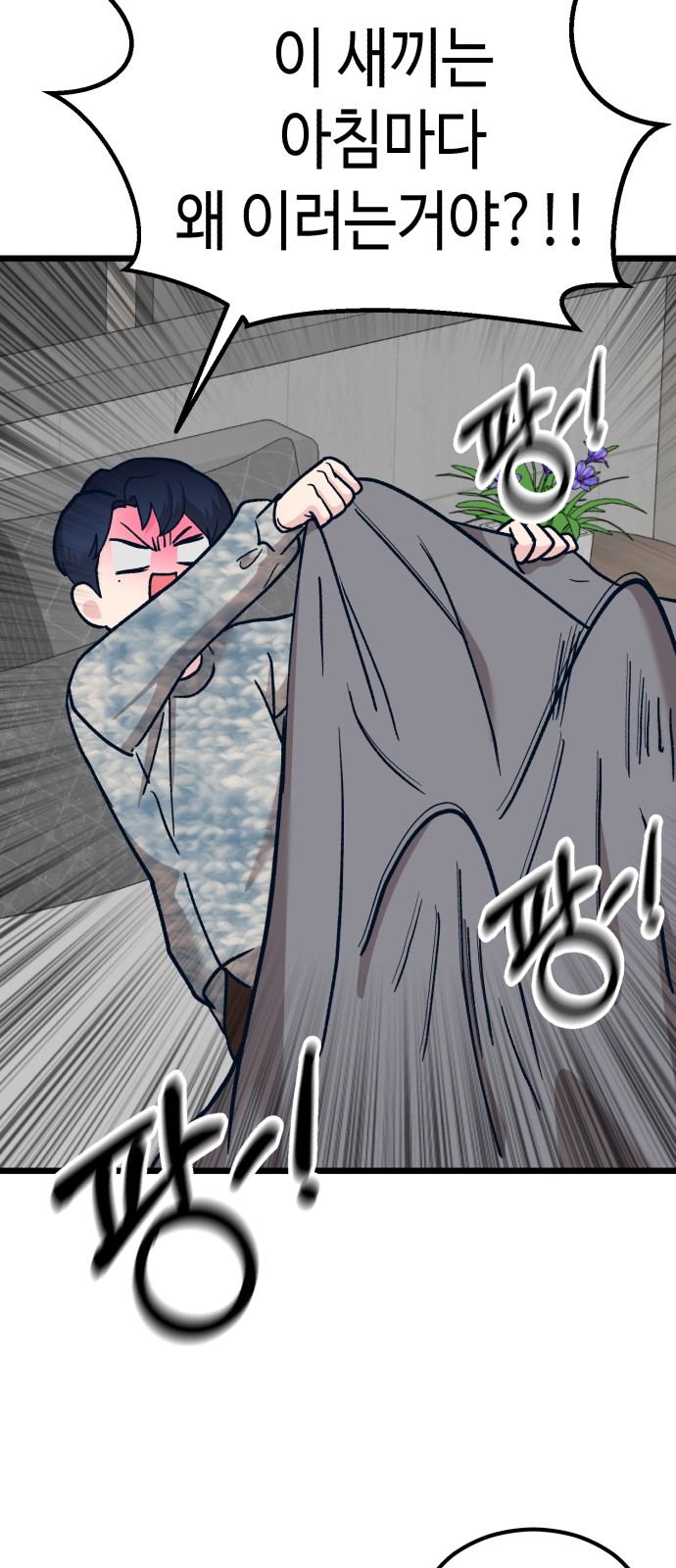 56 페이지
