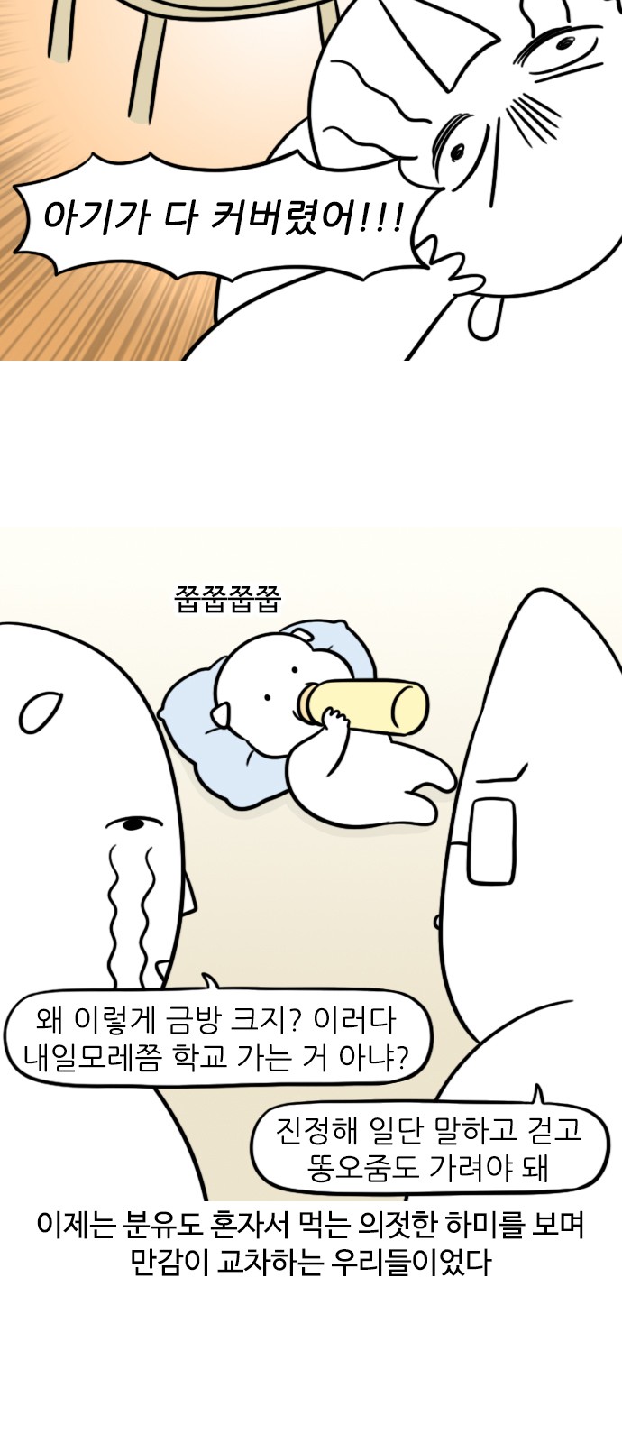 13 페이지