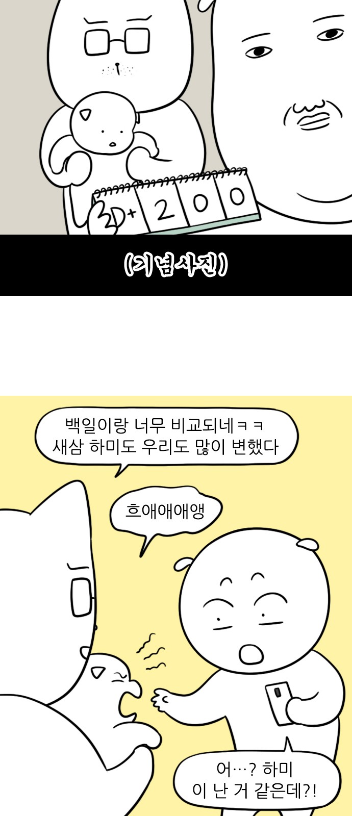 6 페이지