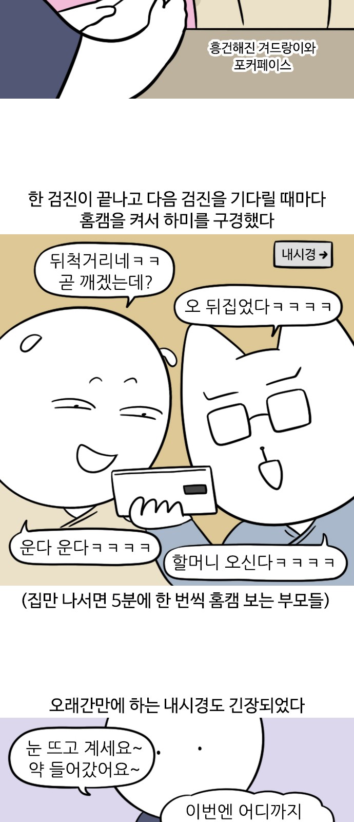 5 페이지