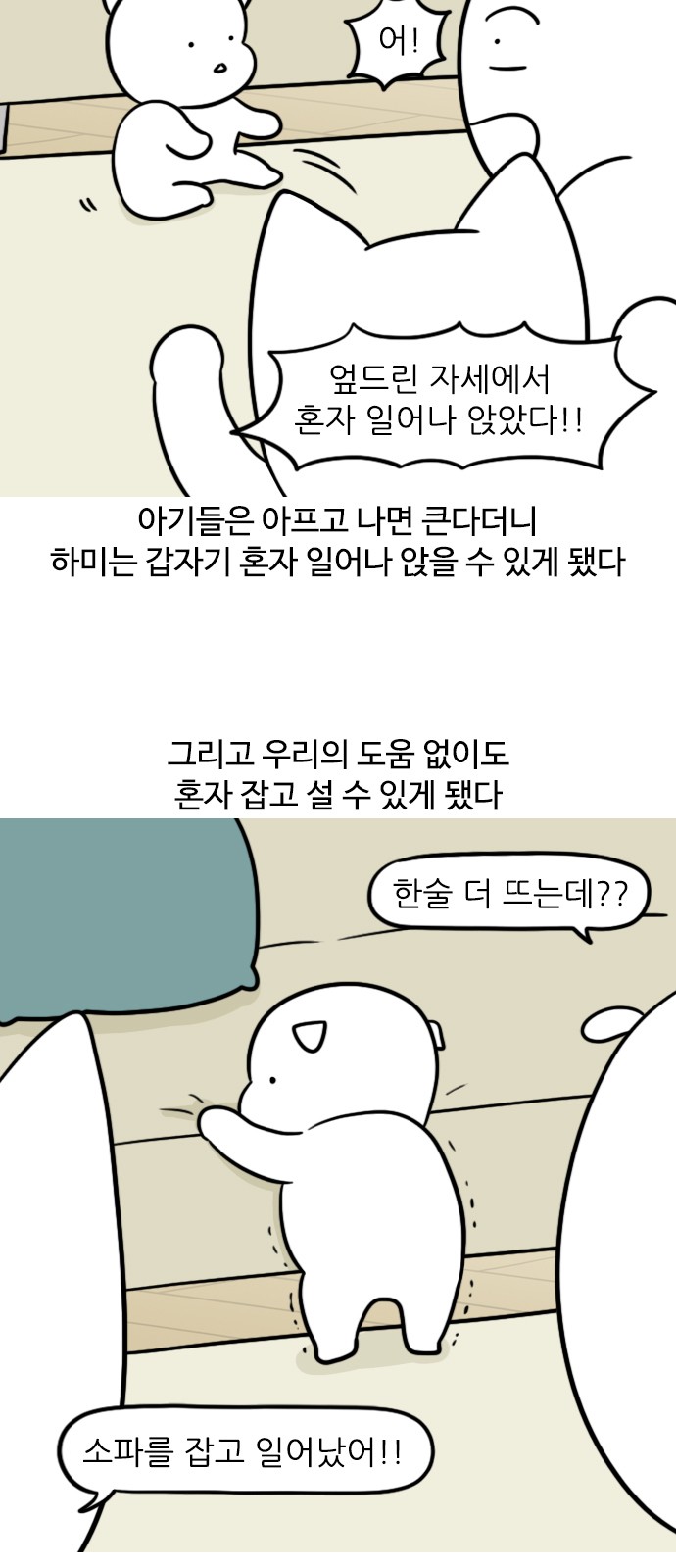 11 페이지