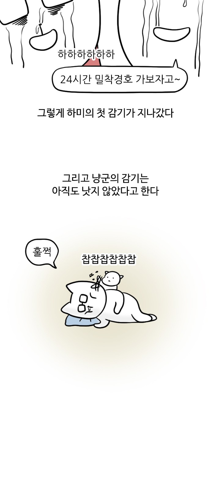 13 페이지