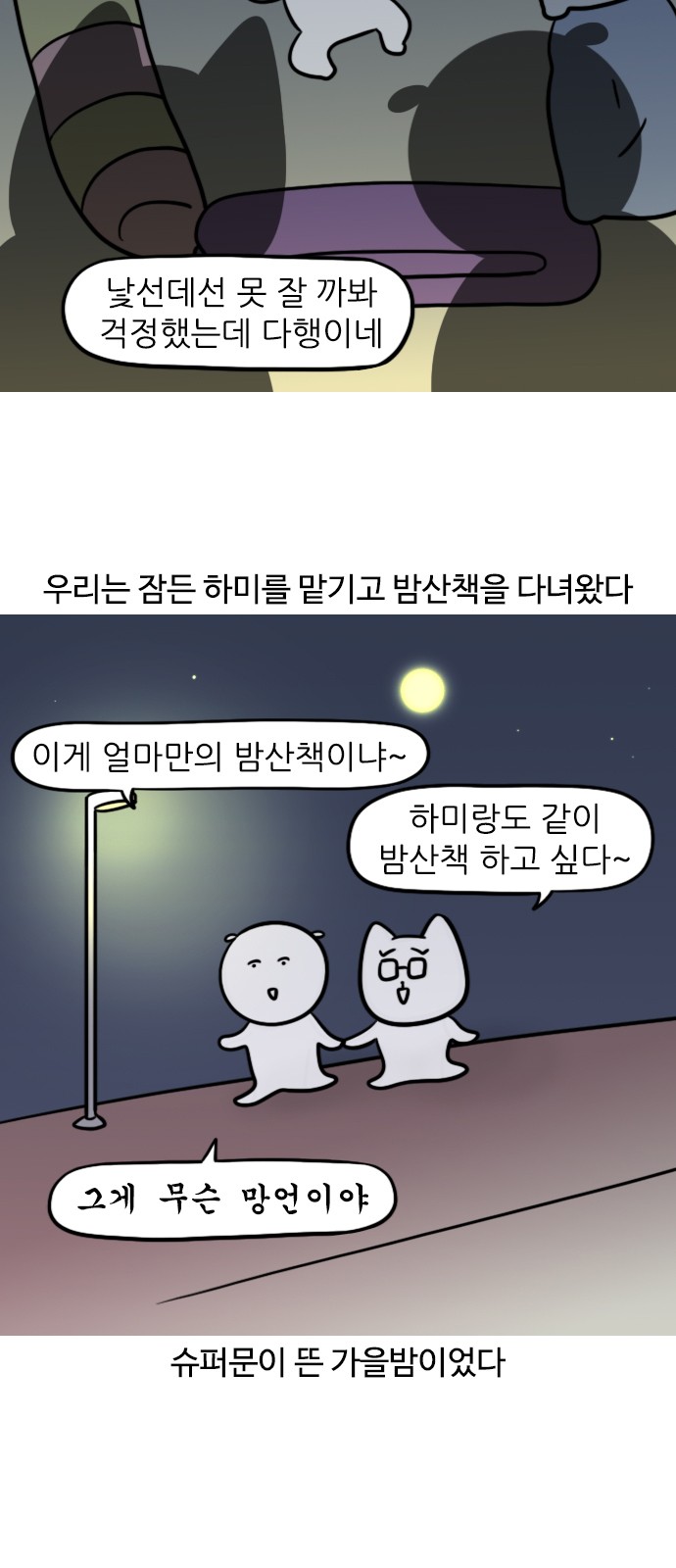 13 페이지