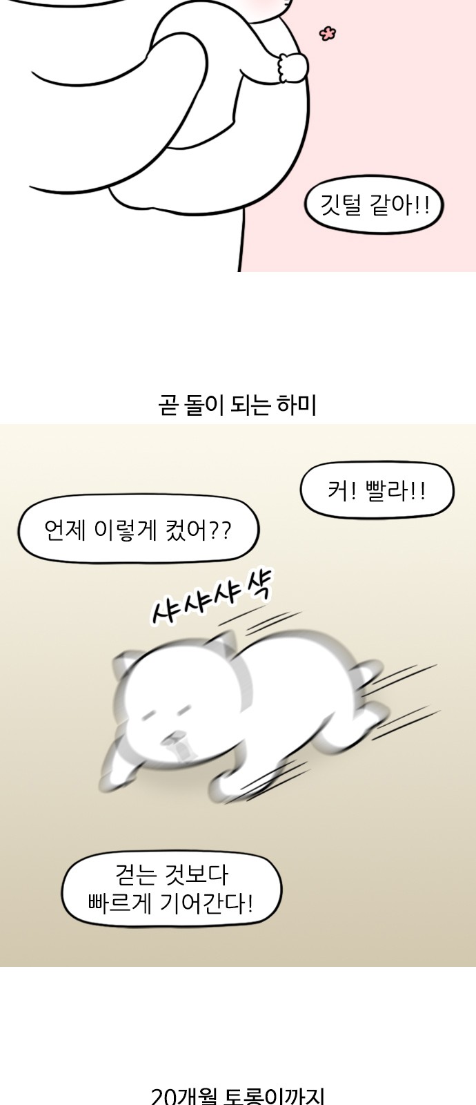 3 페이지