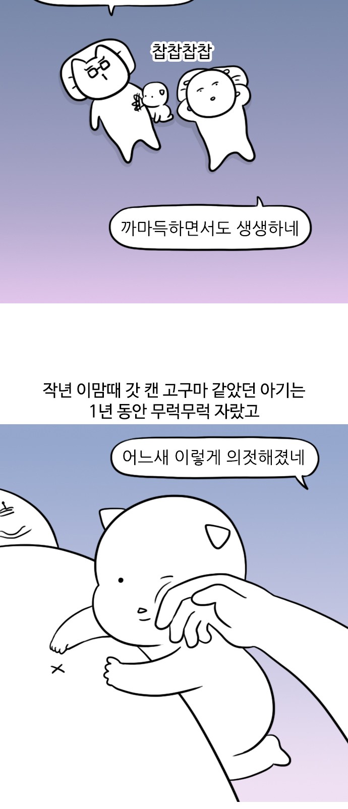 11 페이지
