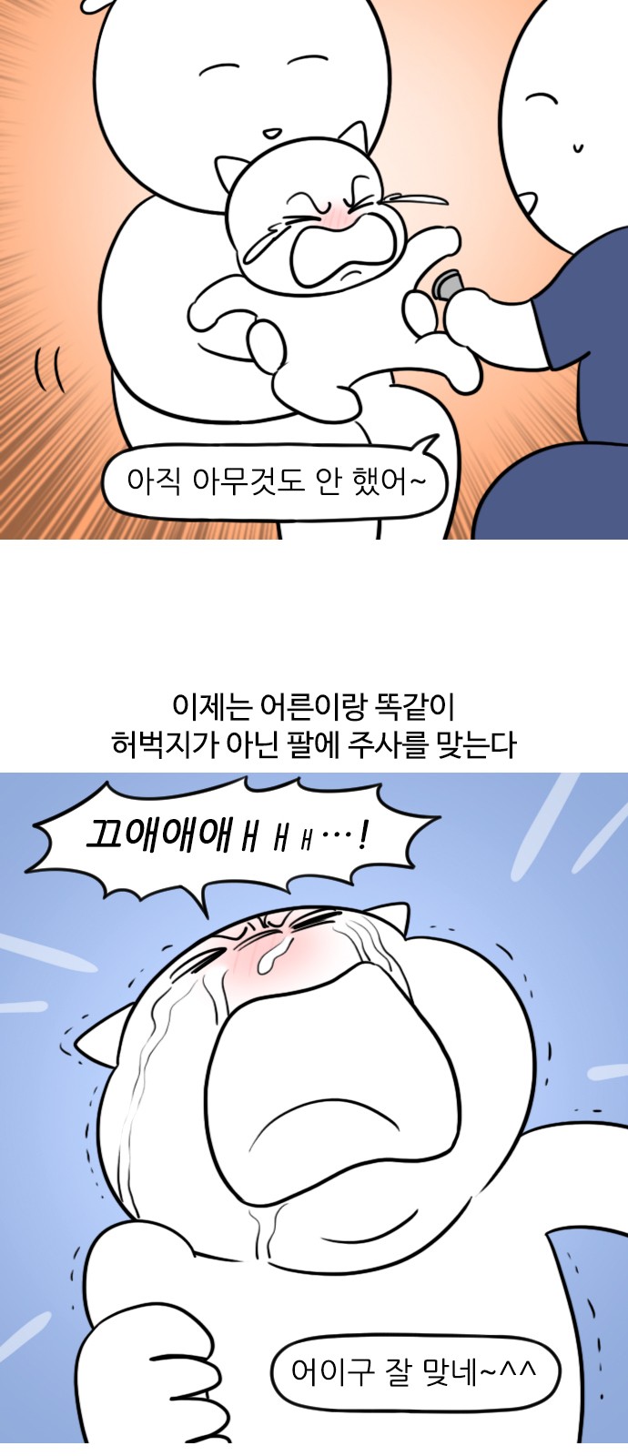 6 페이지