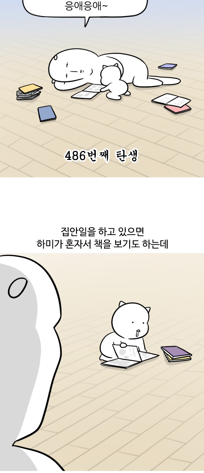 11 페이지