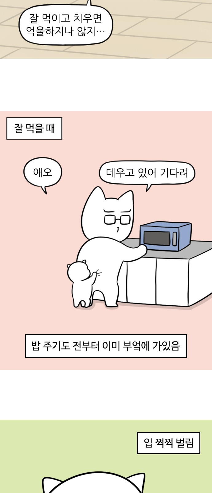 5 페이지