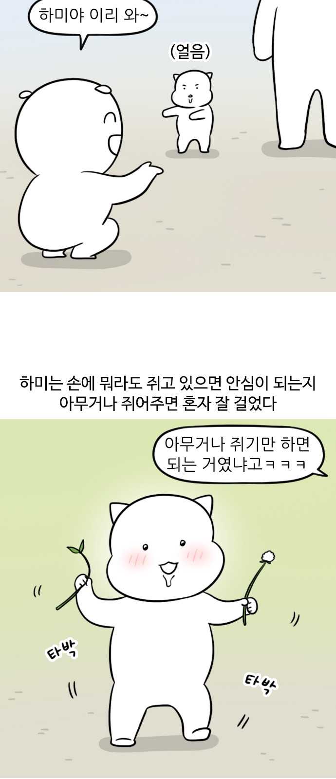 11 페이지
