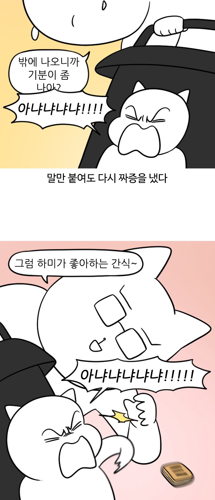 11 페이지