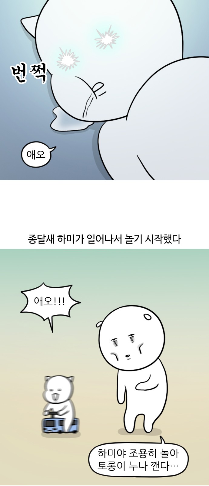 6 페이지