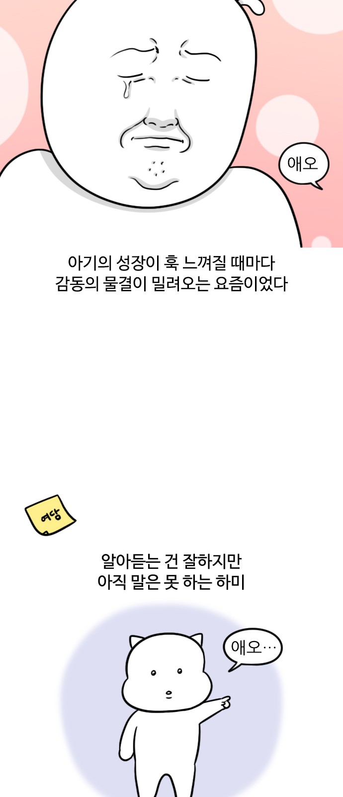 11 페이지
