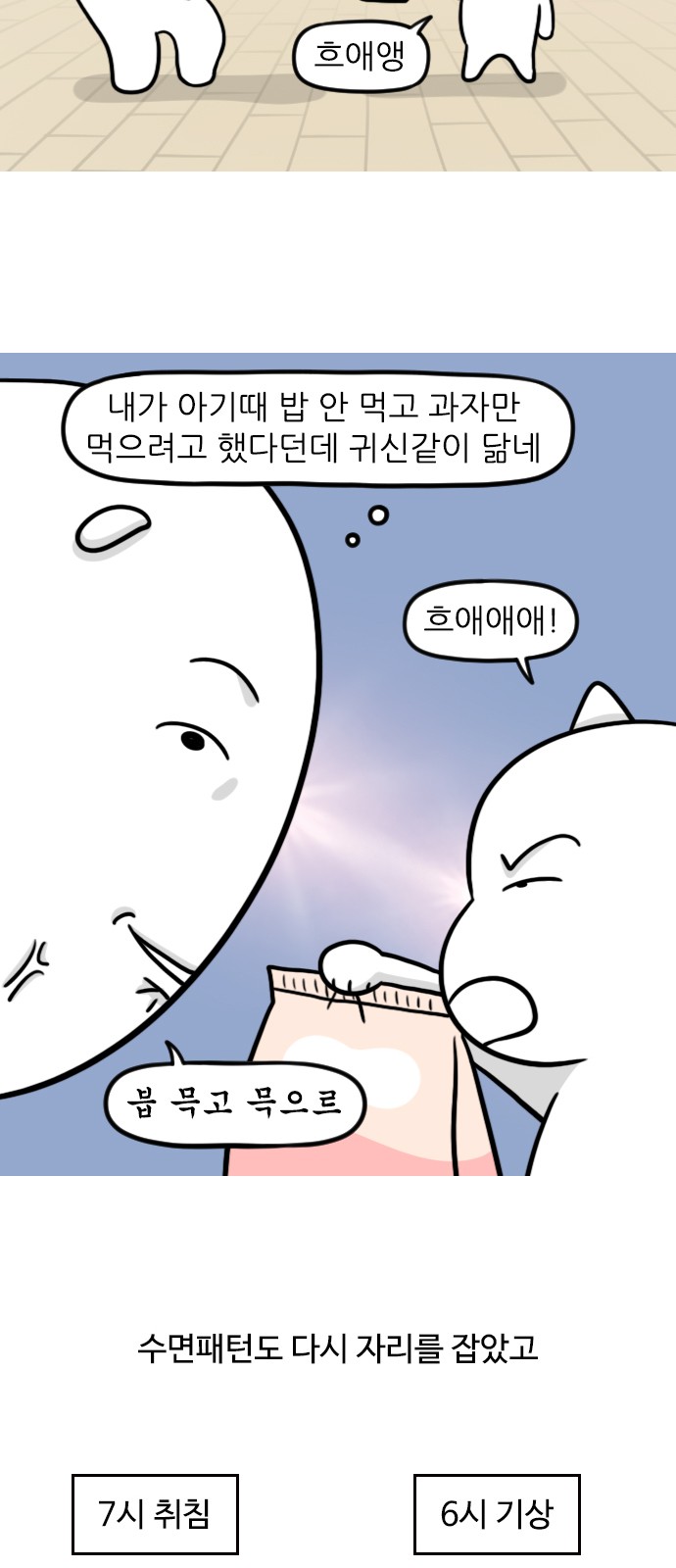 5 페이지