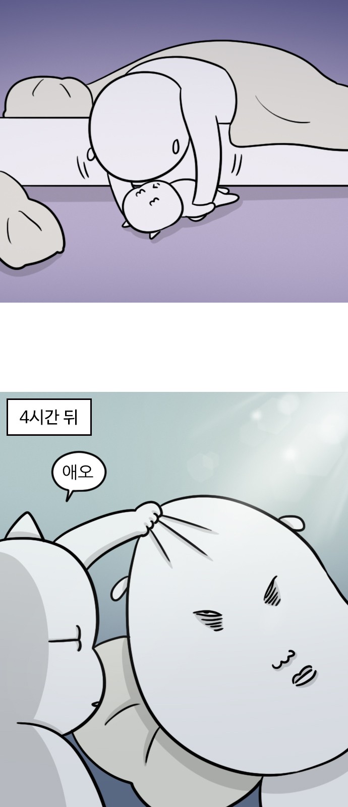 11 페이지