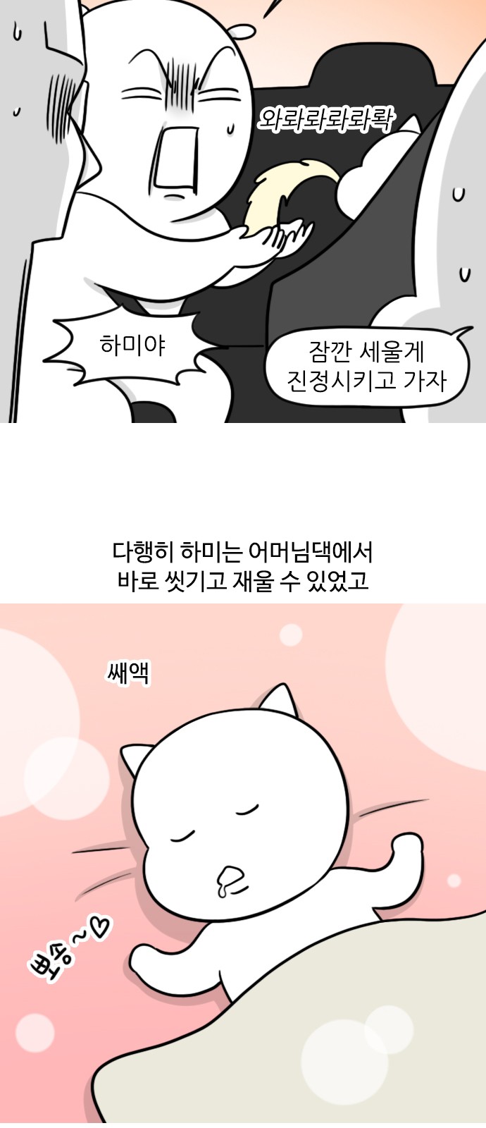 11 페이지