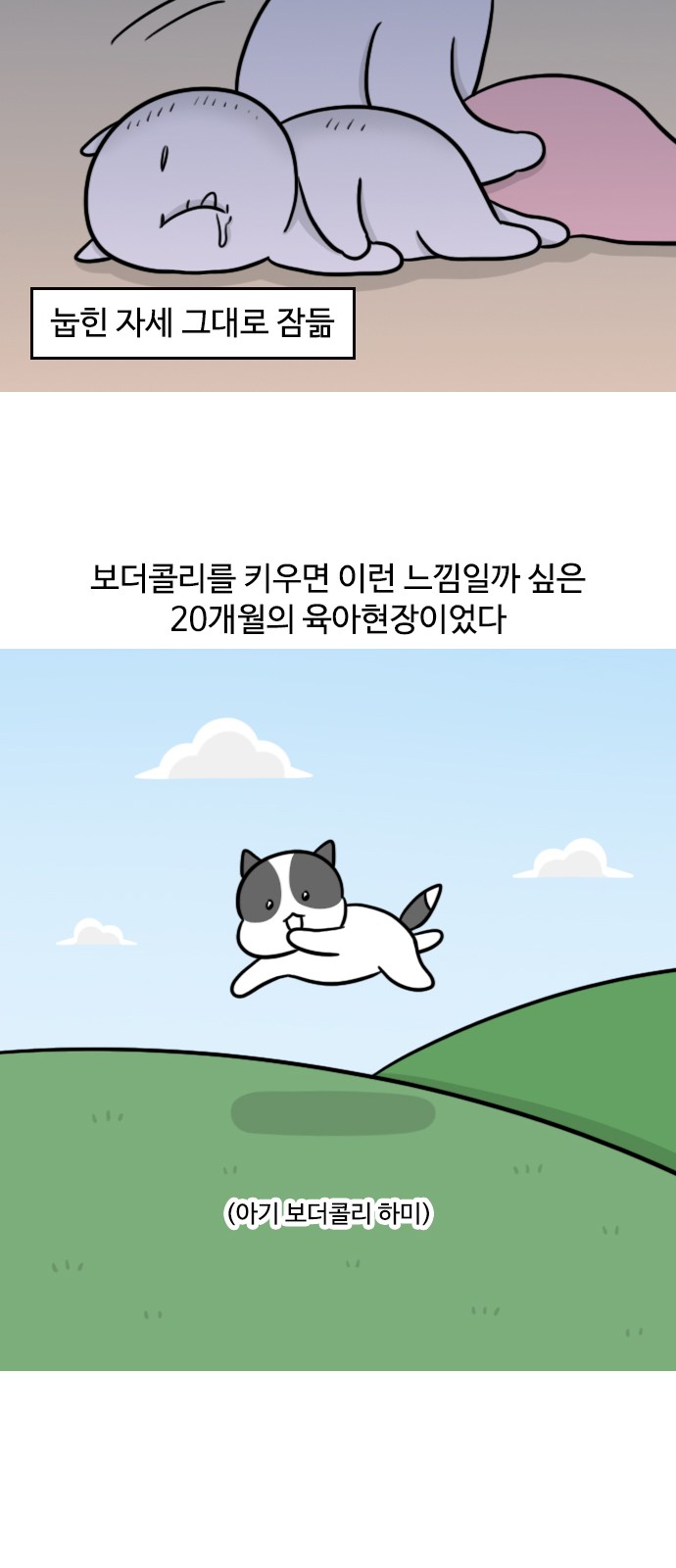 13 페이지