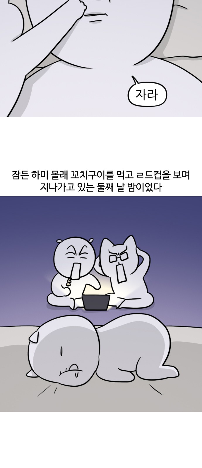 13 페이지