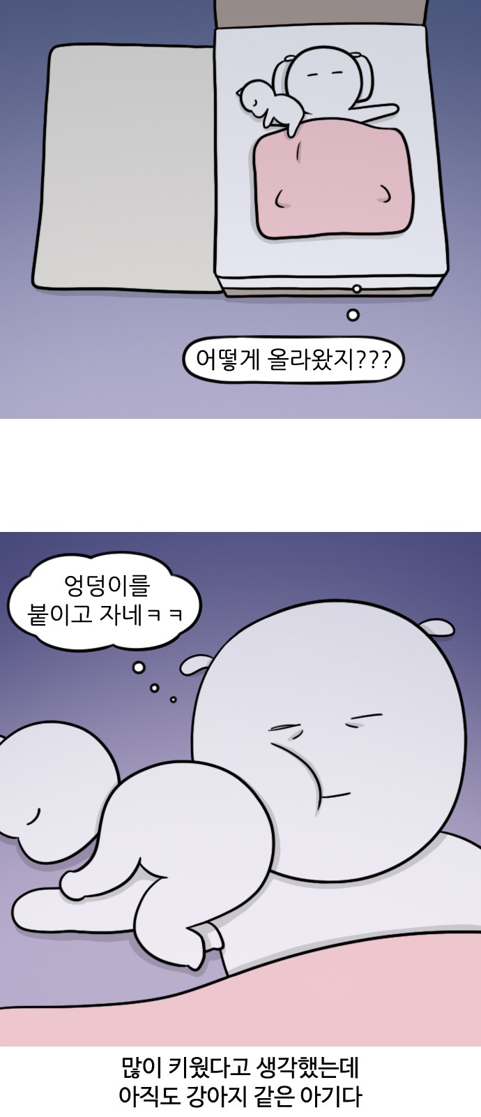11 페이지