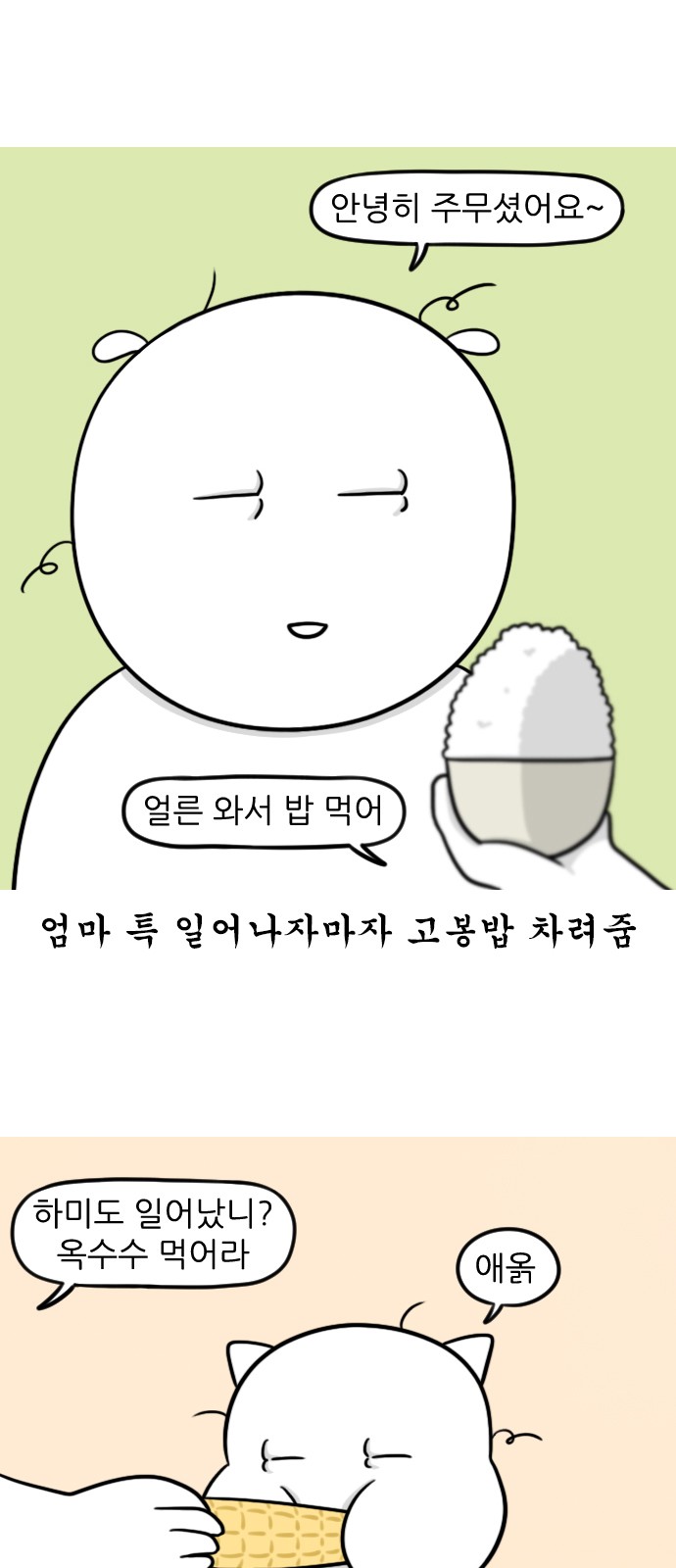 12 페이지