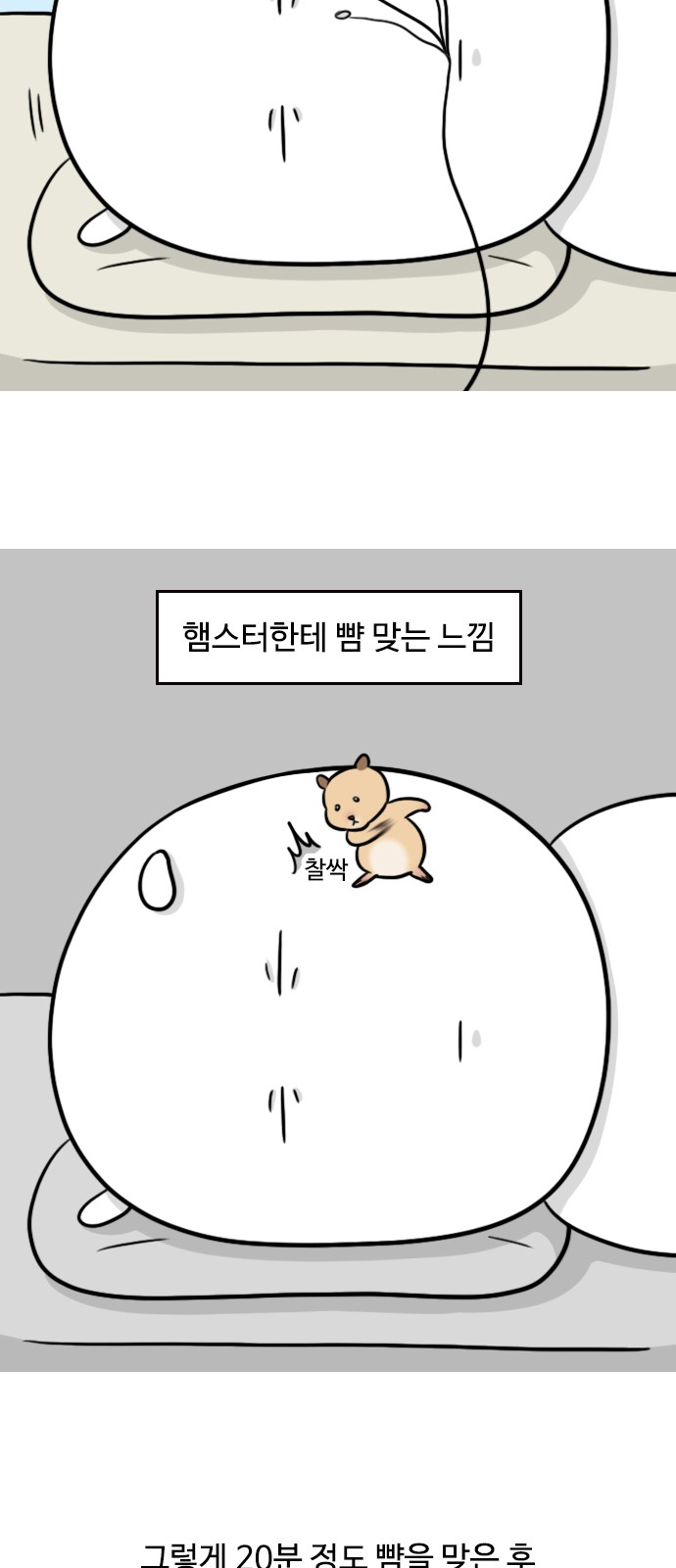 8 페이지