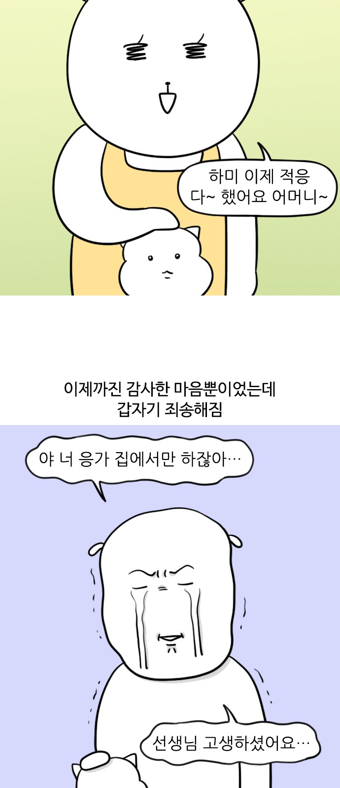 6 페이지