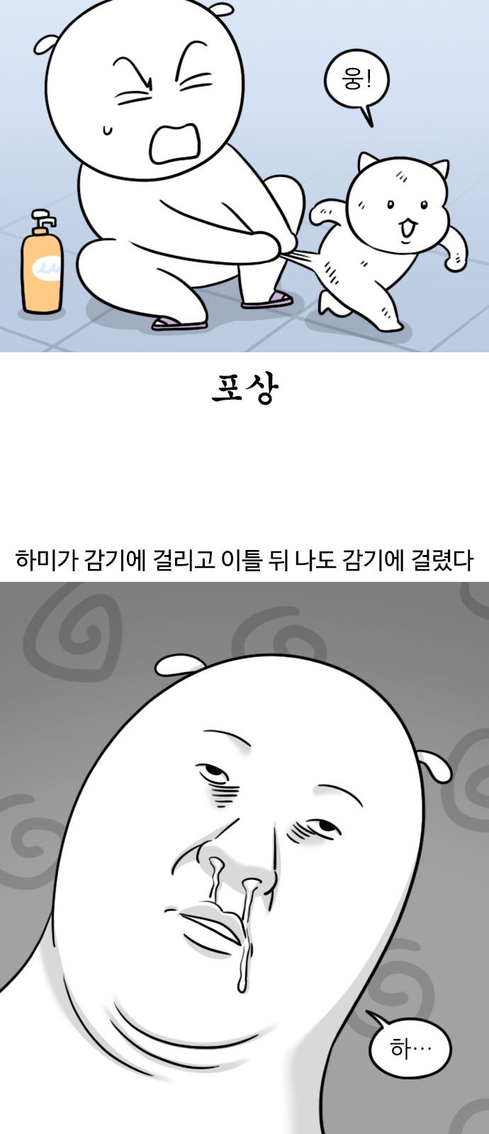 6 페이지