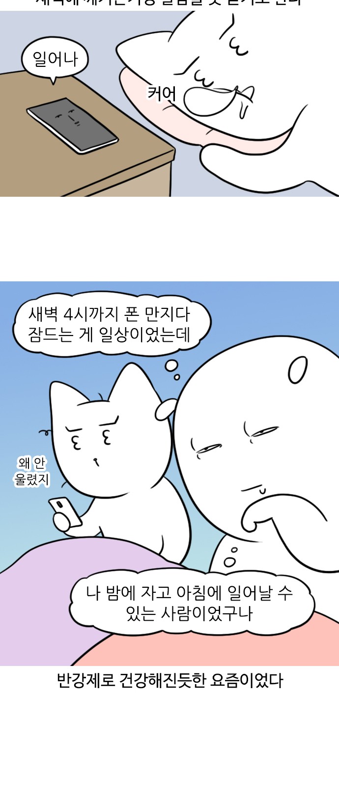 13 페이지