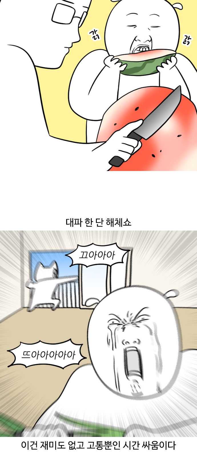 11 페이지