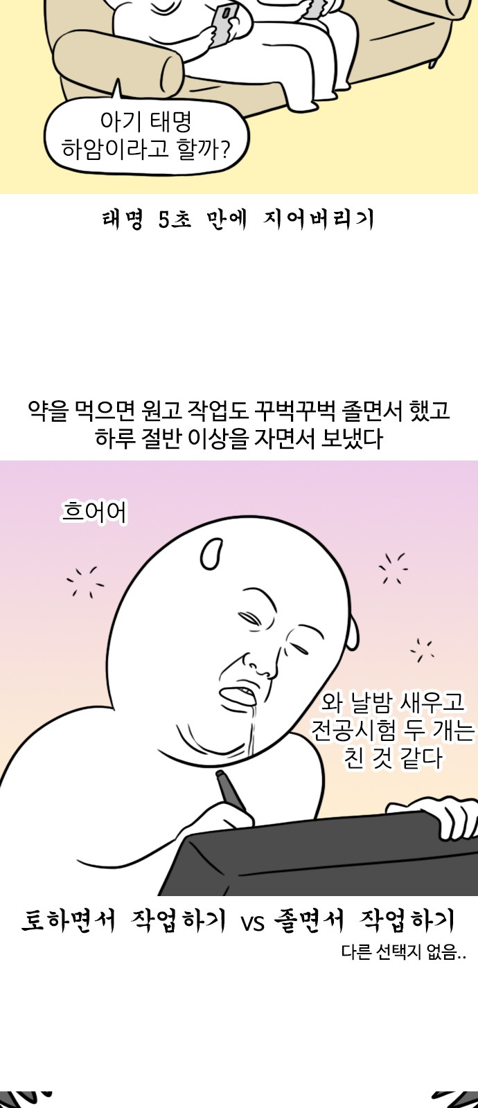 13 페이지