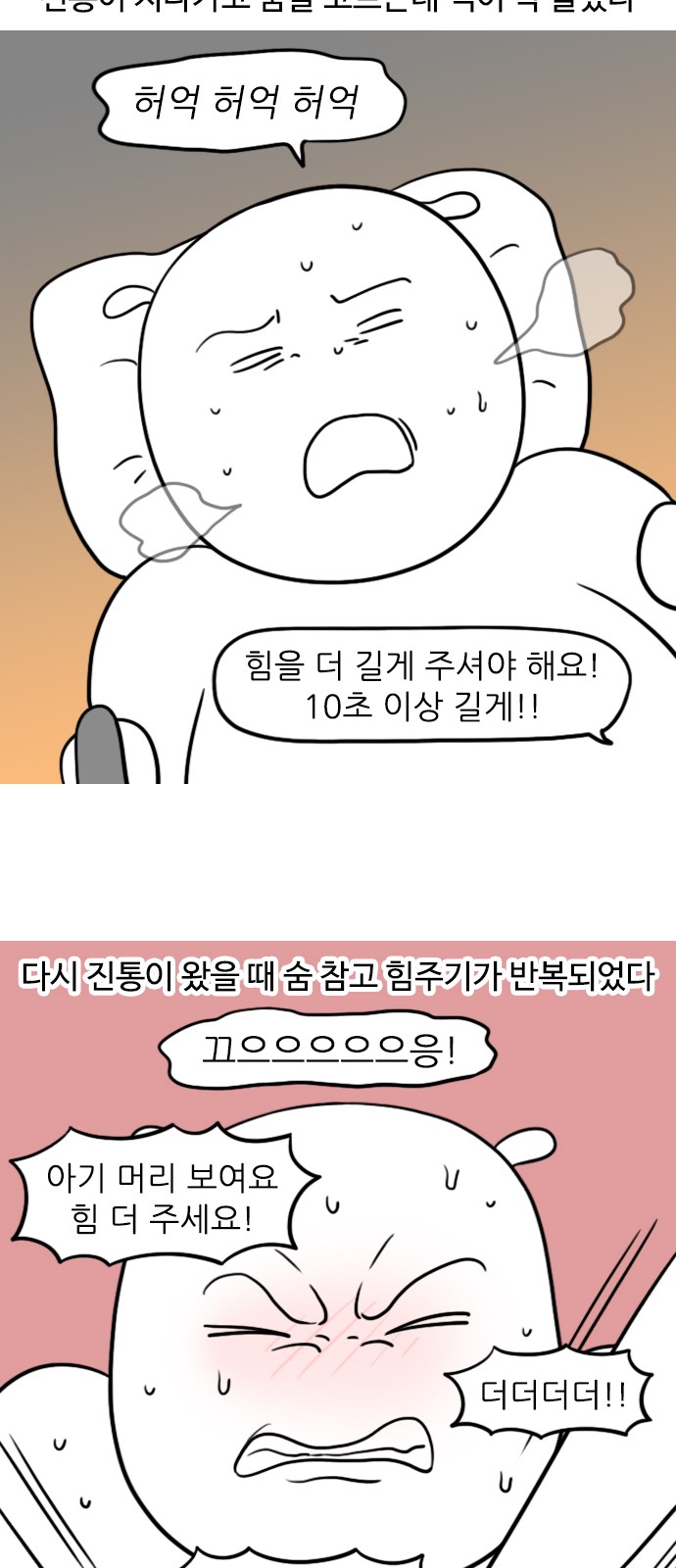 14 페이지