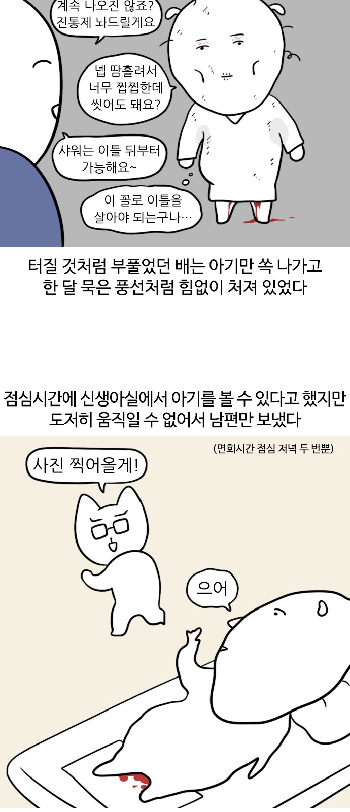 11 페이지
