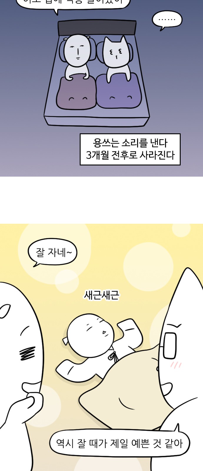 11 페이지