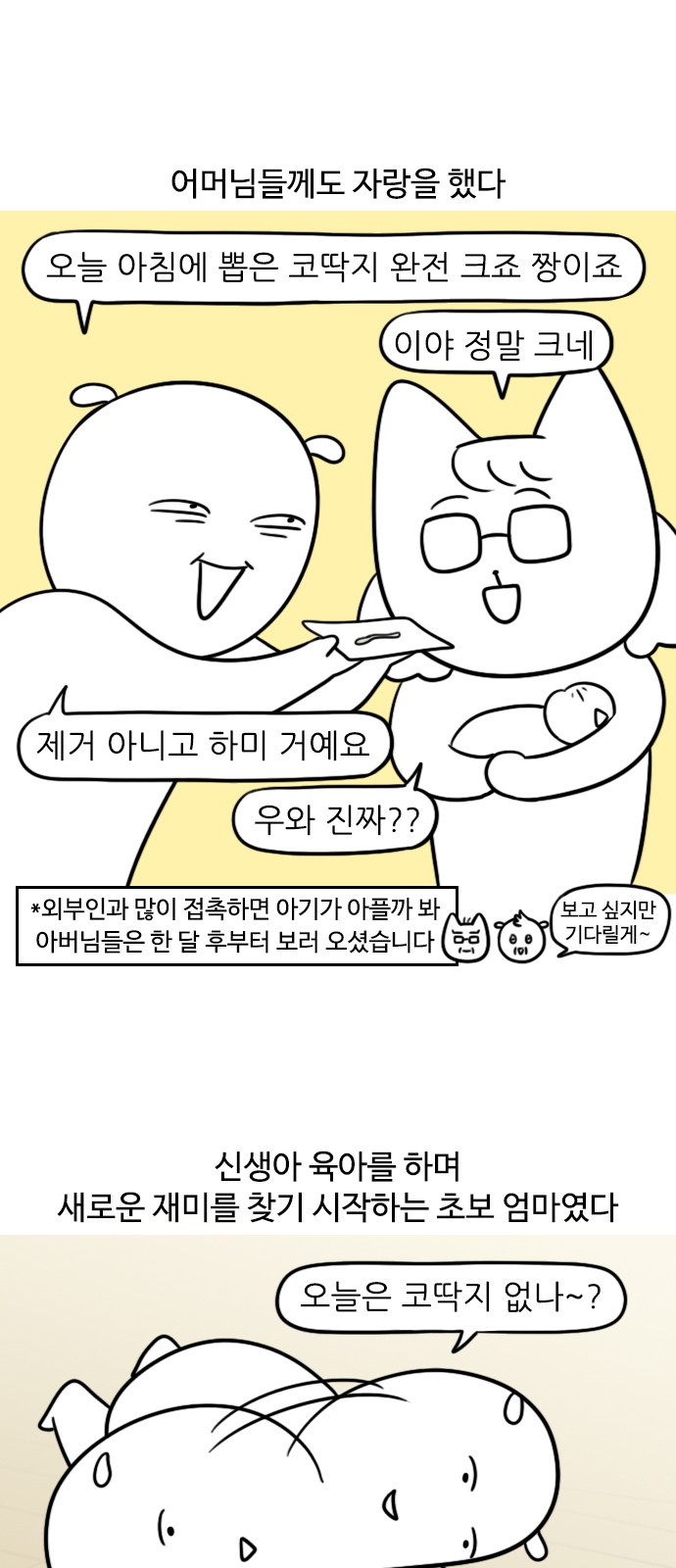 12 페이지