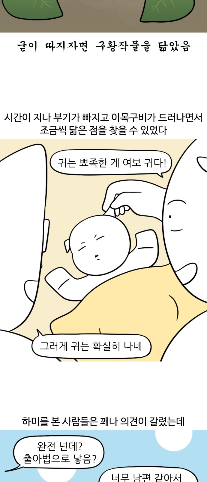 5 페이지
