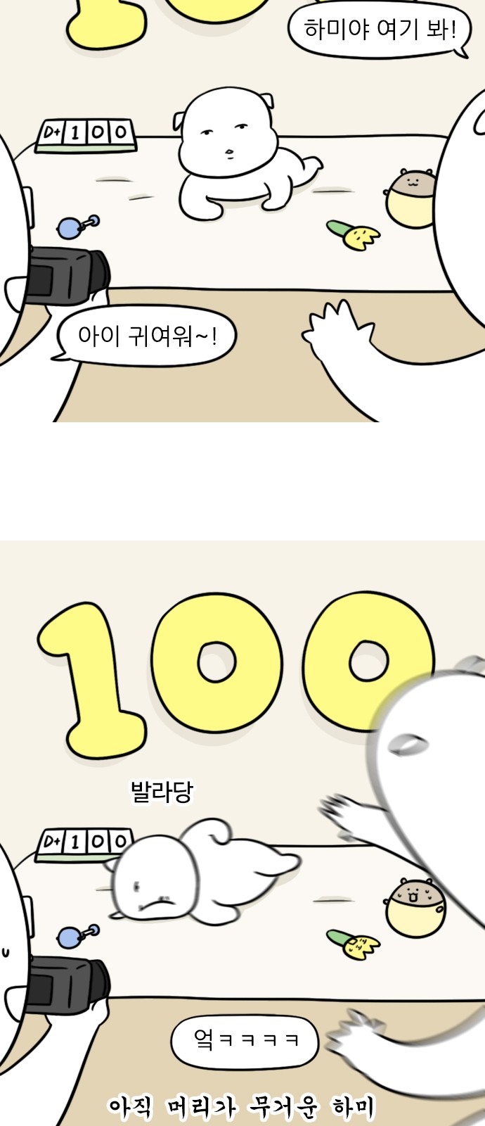 11 페이지