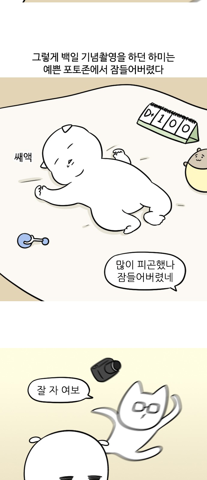 12 페이지