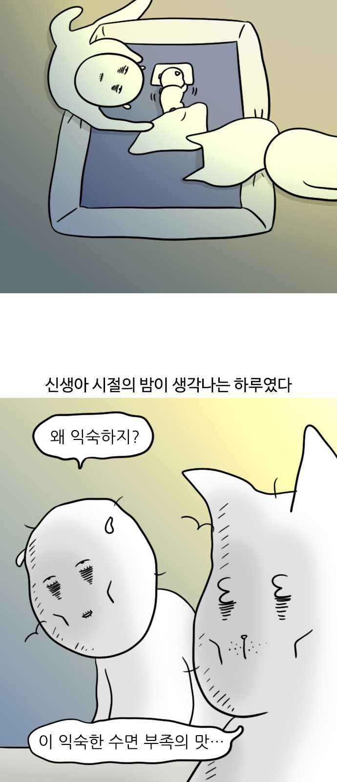 11 페이지