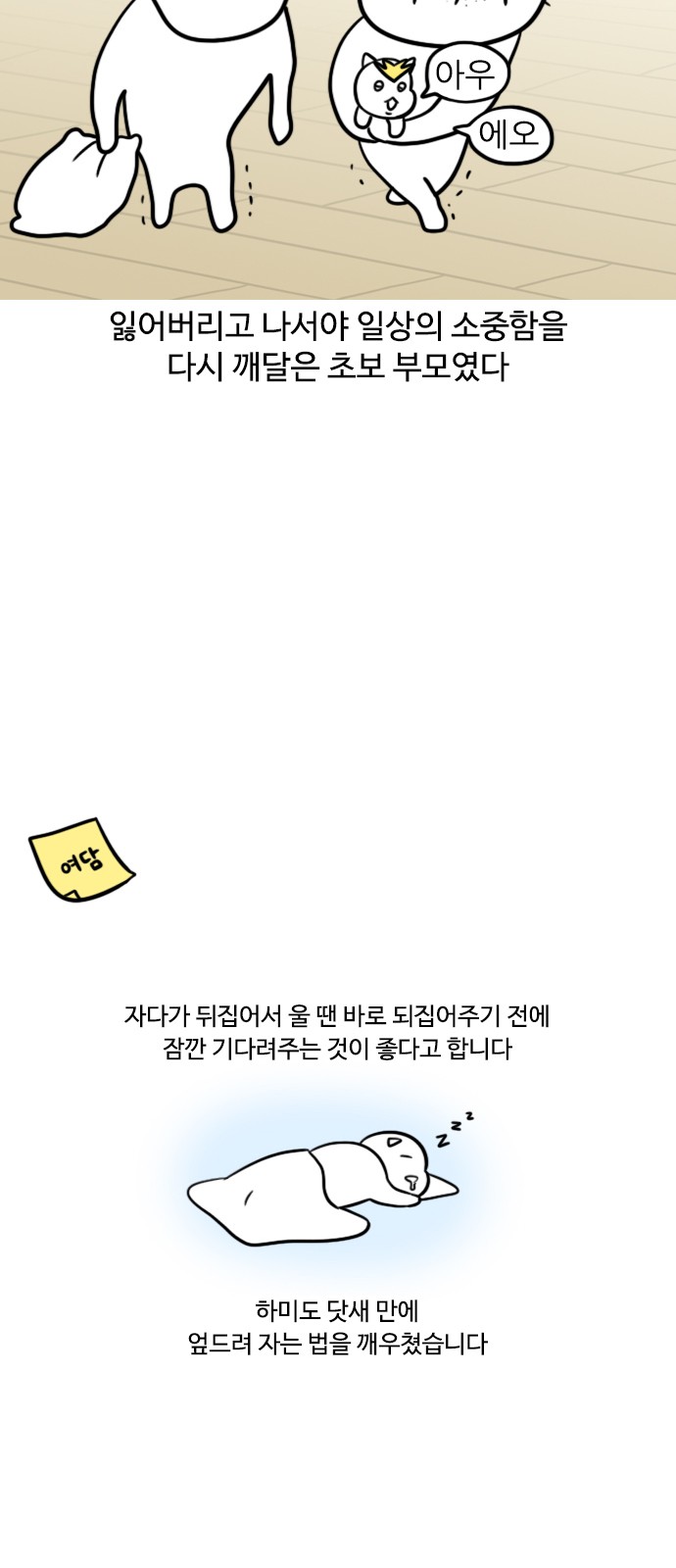 13 페이지