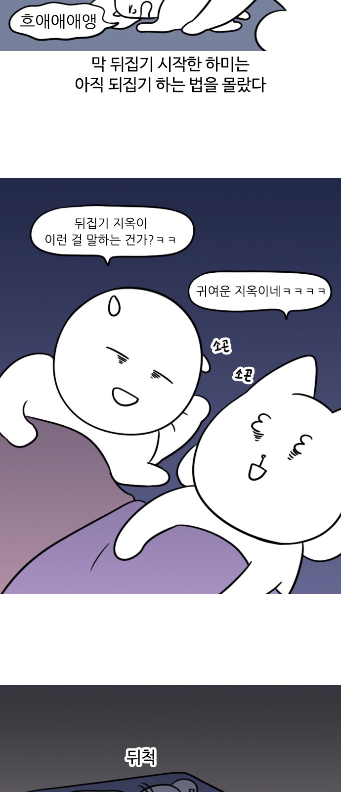 5 페이지