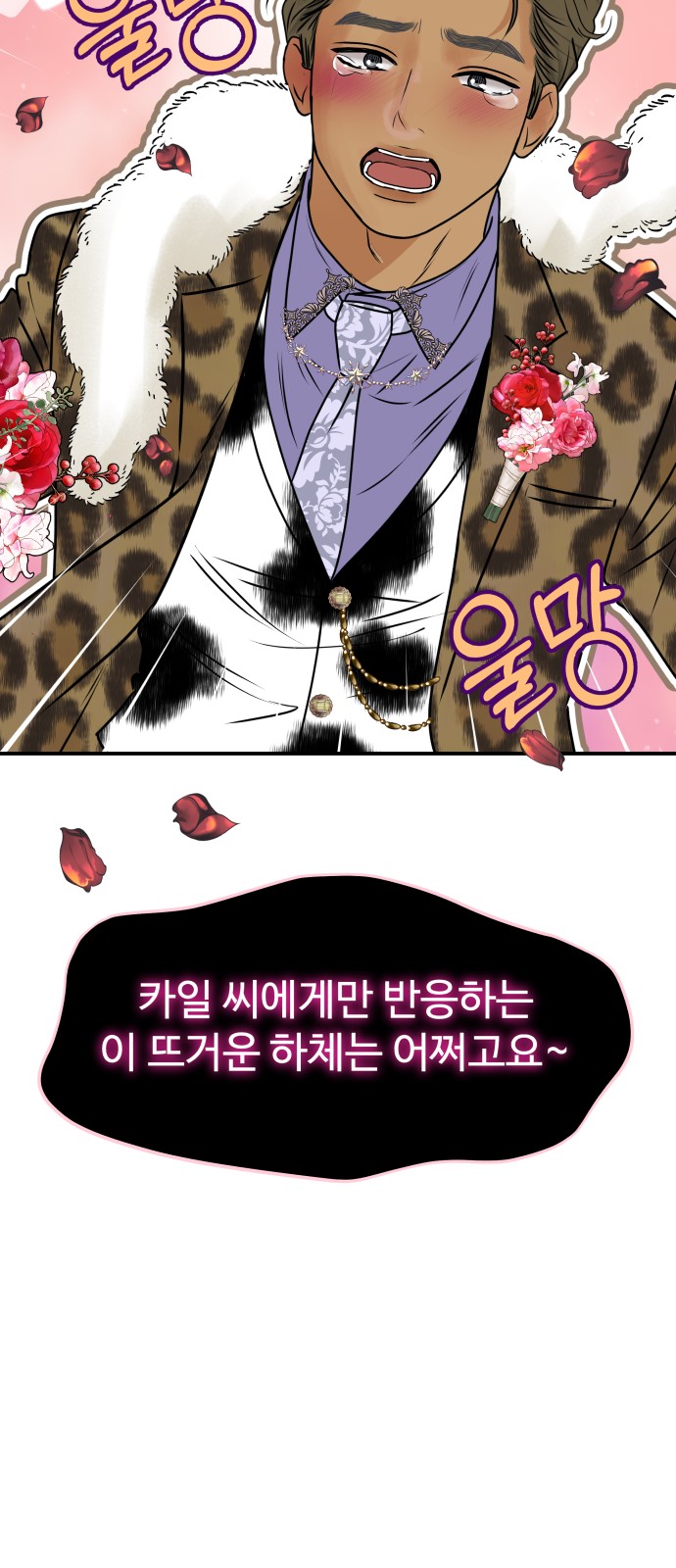 41 페이지