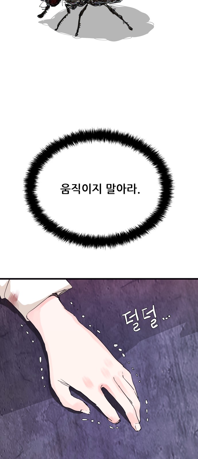 55 페이지