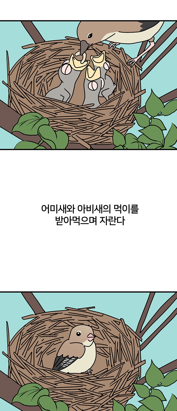 2 페이지